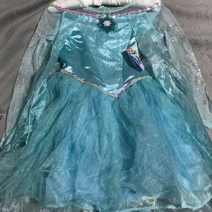 Disney Frozen Elsa Tutu Prestige Costume SM (4-6x)